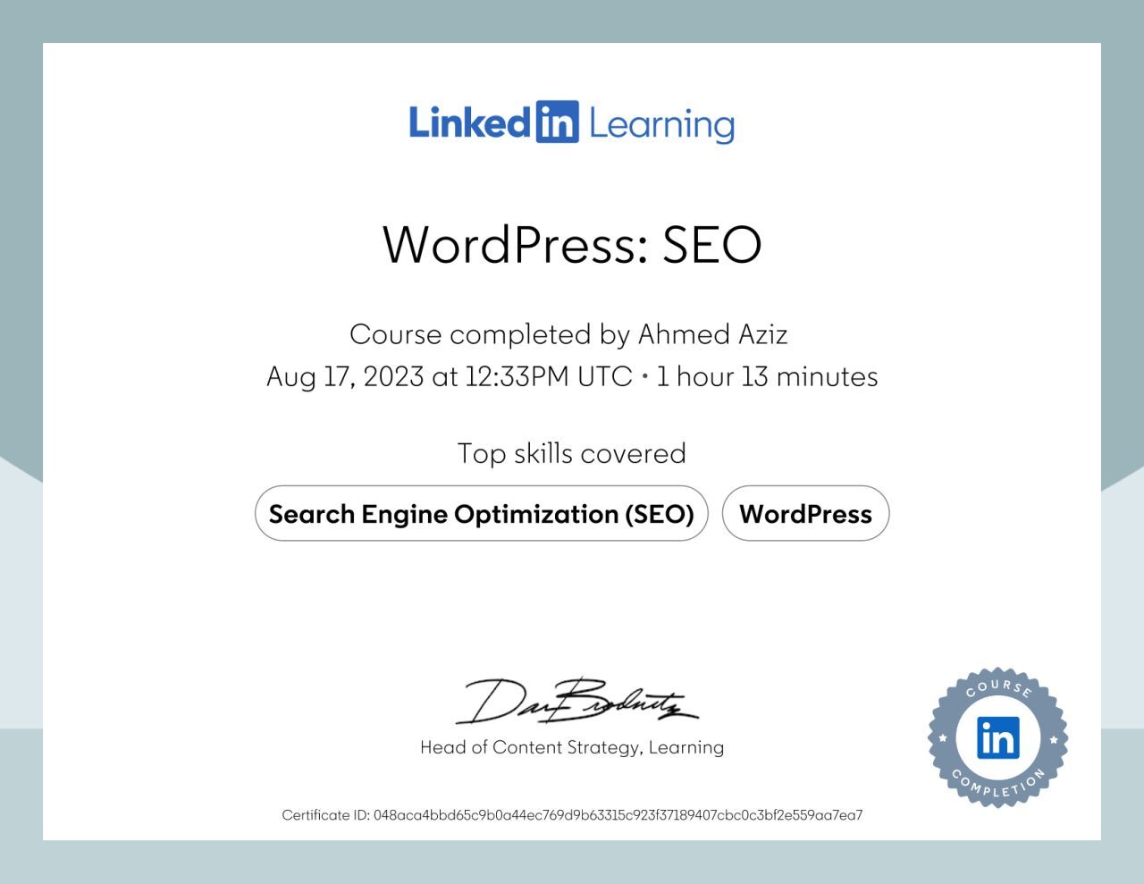 Wordpress SEO